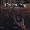 နိုင်ငံပျောက်သူ