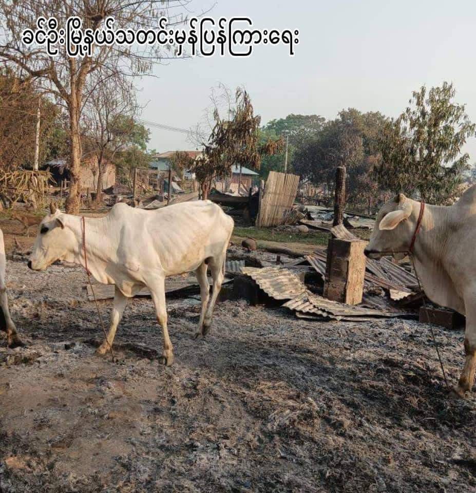 (ခင်ဦးမြို့နယ်ရှိ ​ကျေးရွာတစ်ရွာကို စစ်​ကောင်စီတပ်က မီးရှို့ဖျက်ဆီးပြီး​နောက် ​တွေ့ရစဥ်)