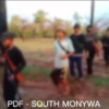 (PDF-South Monywa အဖွဲ့မှ ရဲဘော်များ စစ်ဆင်ရေးသွားနေစဥ်။)