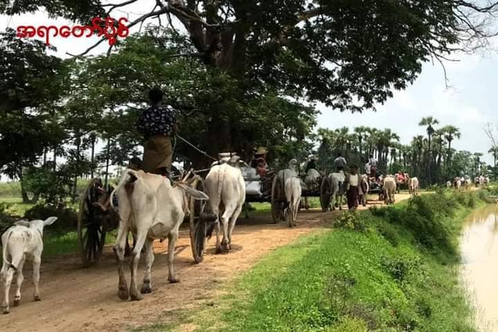 (ထွက်ပြေးတိမ်းရှောင်နေရသော စစ်ဘေးဒုက္ခသည်များ။ဓါတ်ပုံ-နိုက်တင်ဂေး)