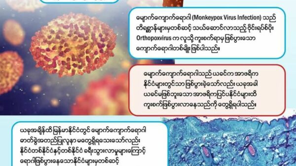 မျောက်ကျောက်ရောဂါ