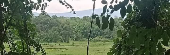 (ခြေကျင်တောနင်းစစ်ကြောင်းထိုးနေသော စစ်ကောင်စီတပ်များ၊ ဓာတ်ပုံ - CJ)