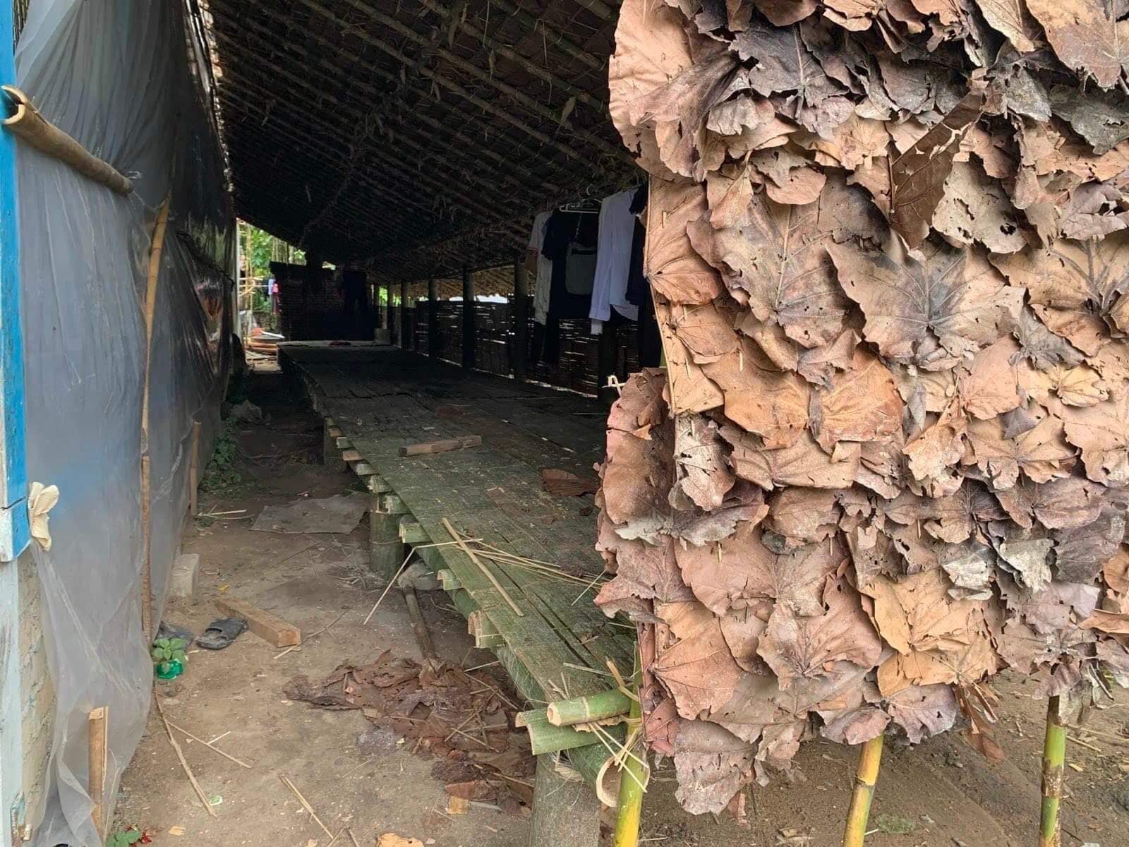 တောင်ငူခရိုင်ထဲ ဘော်ဒါဆောင်နဲ့ ကျောင်းအဆောင်သစ် တွေလိုအပ်နေ