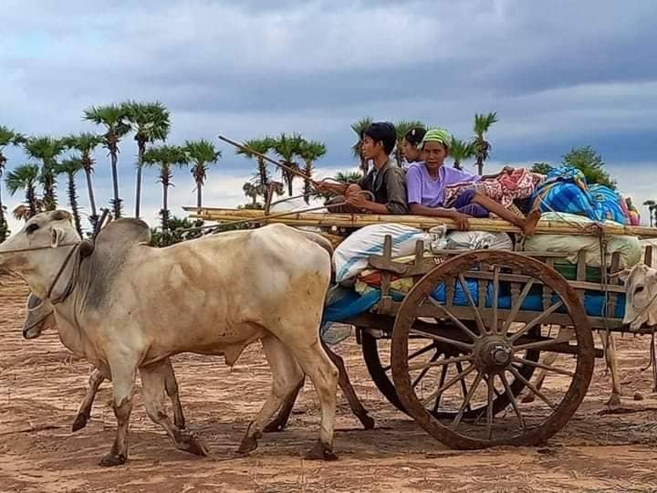 (စစ်ကောင်စီတပ်၏ အကြမ်းဖက်မှုကြောင့်စစ်ကိုင်းတိုင်နှင့်ကရင်ပြည်နယ်မှ စစ်ရှောင်ပြည်သူများ)