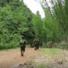 မုံးကိုးခရိုင်