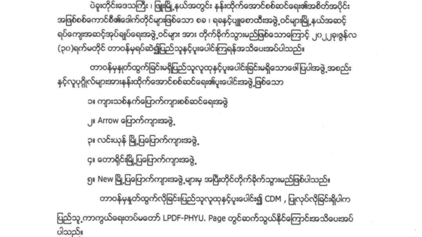 ဖြူး PDF သတိပေး