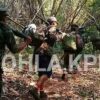 မြို့လှ PDF