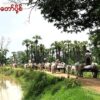 (စစ်​ကောင်စီတပ်၏ အကြမ်းဖက်မှု​ကြောင့်စစ်ကိုင်းတိုင်နှင့်ကရင်ပြည်နယ်မှ စစ်​ရှောင်ပြည်သူများ)