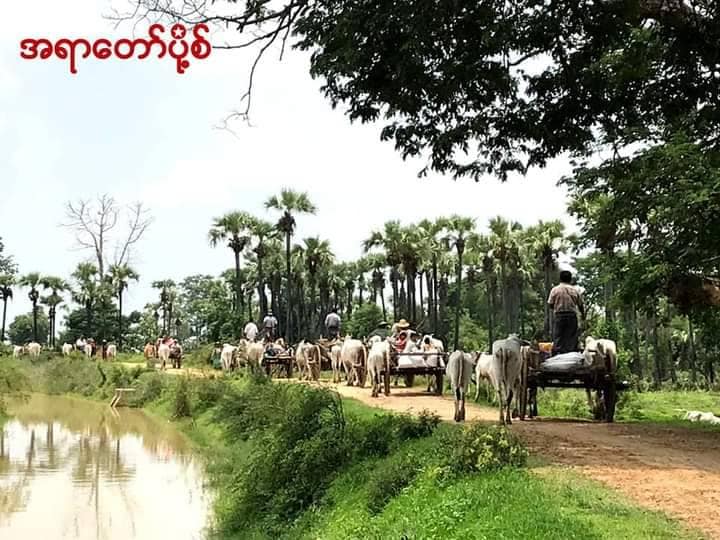 (စစ်​ကောင်စီတပ်၏ အကြမ်းဖက်မှု​ကြောင့်စစ်ကိုင်းတိုင်နှင့်ကရင်ပြည်နယ်မှ စစ်​ရှောင်ပြည်သူများ)
