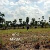 ကနီမြို့နယ်