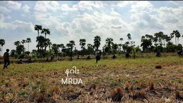 ကနီမြို့နယ်