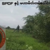 (SPDF နှင့် မဟာမိတ်များ စစ်ဆင်ရေးတစ်ခုတွင် လက်နက်ကြီးဖြင့် ပစ်ခတ်ရန် စီစဥ်နေစဥ်)
