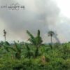 (သာဂရရွာ မီးရှို့ဖျက်ဆီးခံနေရသည့် ဇွန် ၄ရက် မြင်ကွင်း, ဓါတ်ပုံ - ခင်ဦးသတင်းမှန်ပြန်ကြား​ရေး)
