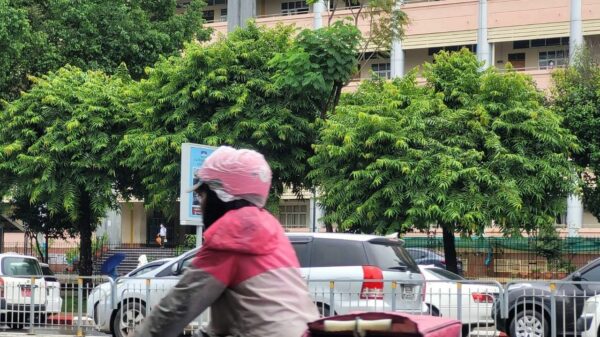 Food panda Rider