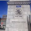 World Trade Organization (WTO)