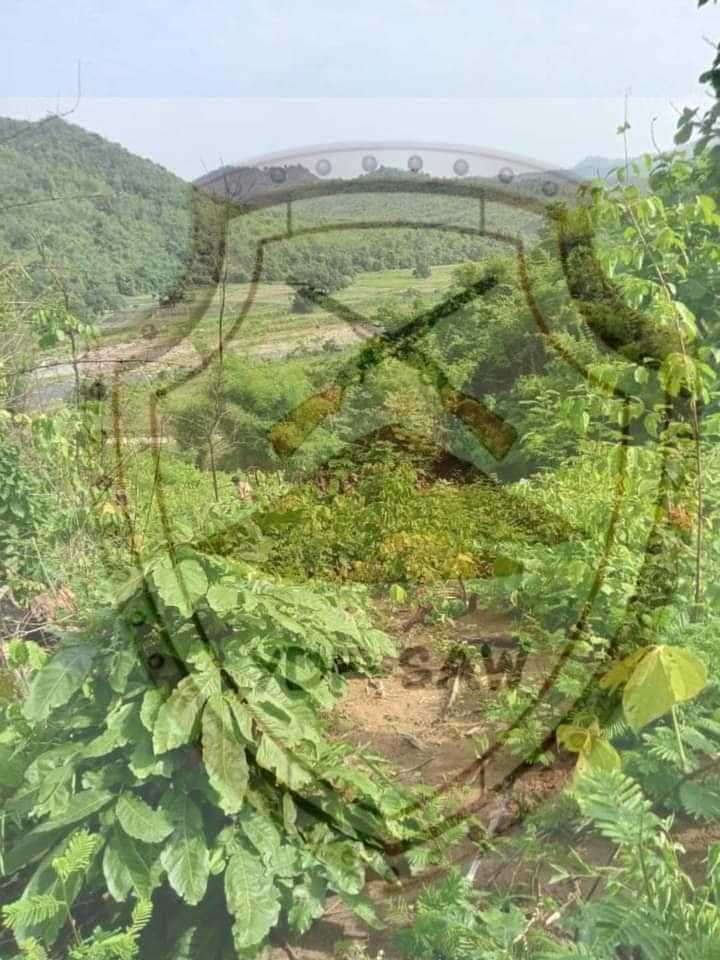 ဆောနယ်သို့စစ်ကြောင်းထိုး