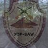 ဆောနယ်သို့စစ်ကြောင်းထိုး