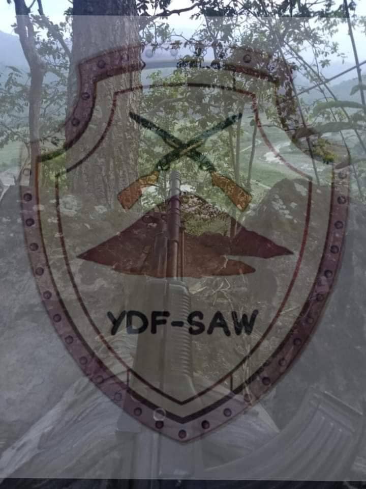 ဆောနယ်သို့စစ်ကြောင်းထိုး