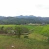 တနင်္သာရီမြို့နယ် လယ်သစ်​ရွာ တိုက်ပွဲ