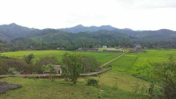 တနင်္သာရီမြို့နယ် လယ်သစ်​ရွာ တိုက်ပွဲ