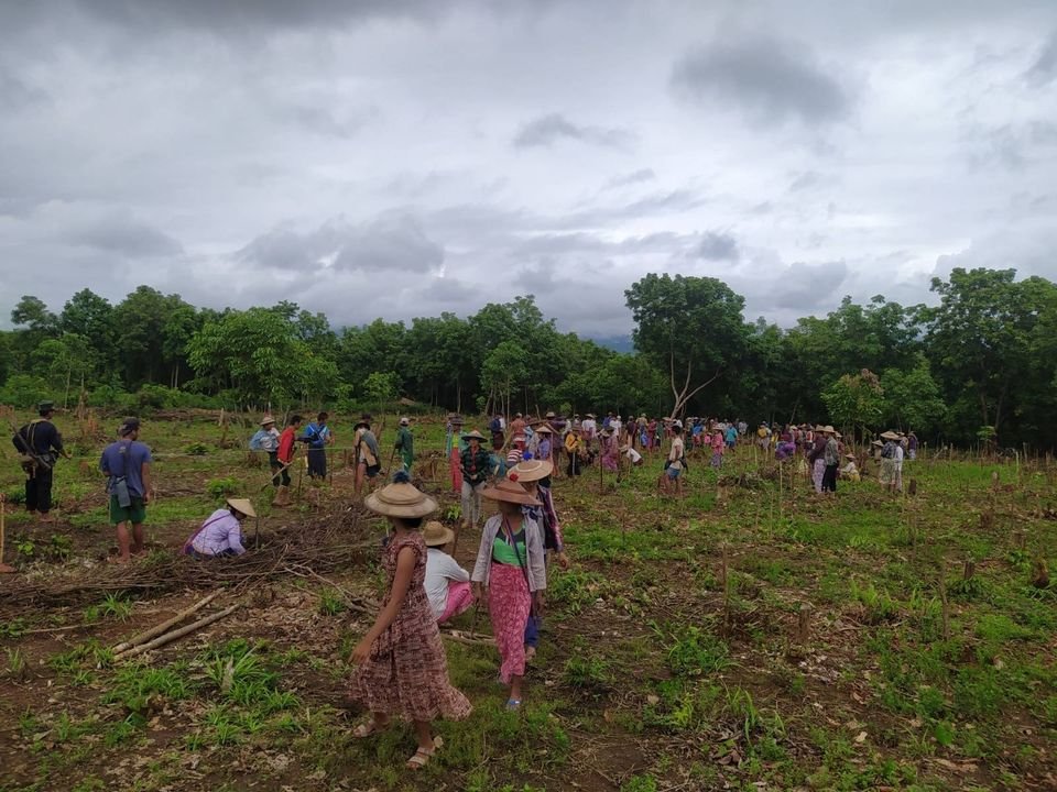 ကရင်အမျိုးသားလွတ်မြောက်ရေးအတွက် အသက်စွန့်တိုက်ခဲ့သူတွေကို သစ်ပင်စိုက်ပြီး ဂုဏ်ပြု