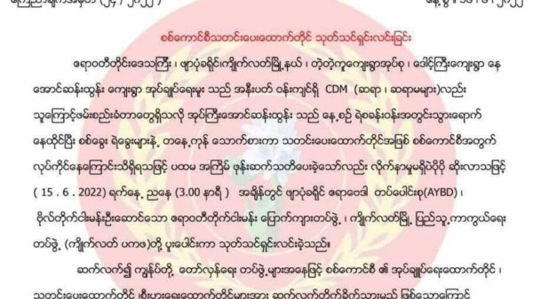 ဧရာဝတီတိုင်း ပြည်သူ့ကာကွယ်ရေးတပ်ပေါင်းစုက တုန့်ပြန်သတိပေး