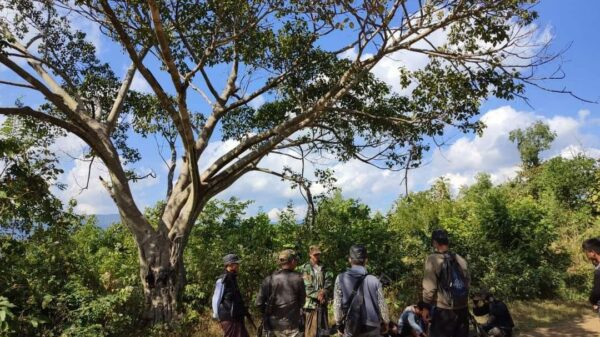 ပုလဲနယ်တွင် စစ်ကောင်စီစစ်ကြောင်းကို နှစ်ကြိမ်ကြားဖြတ်တိုက်ခိုက်