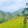မတူပီ CDF
