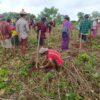 ကရင်အမျိုးသားလွတ်မြောက်ရေးအတွက် အသက်စွန့်တိုက်ခဲ့သူတွေကို သစ်ပင်စိုက်ပြီး ဂုဏ်ပြု