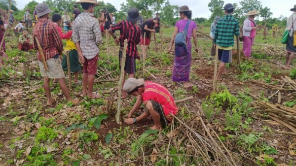 ကရင်အမျိုးသားလွတ်မြောက်ရေးအတွက် အသက်စွန့်တိုက်ခဲ့သူတွေကို သစ်ပင်စိုက်ပြီး ဂုဏ်ပြု