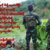 ပြည်သူကာကွယ်ရေးတပ်မတော်တပ်မဟာ(၇)တပ်ရင်း (၇၀၃)
