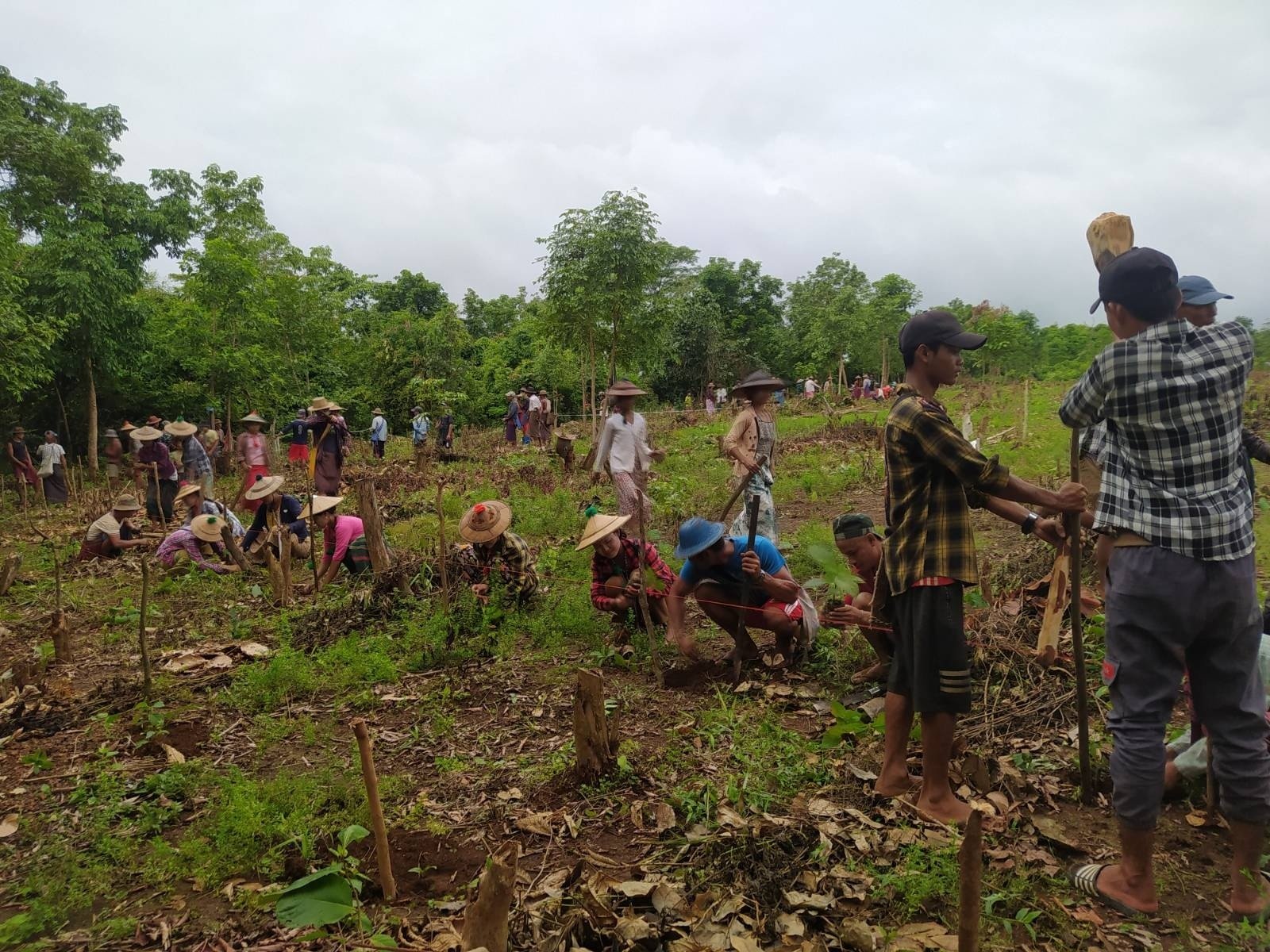 ကရင်အမျိုးသားလွတ်မြောက်ရေးအတွက် အသက်စွန့်တိုက်ခဲ့သူတွေကို သစ်ပင်စိုက်ပြီး ဂုဏ်ပြု
