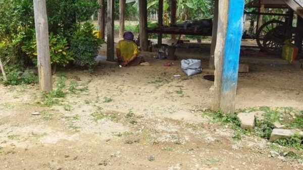 (ထီးလင်းမြို့နယ် တောရောင်းကျေးရွာမှ နေအိမ်အချို့ကို ဖောက်ထွင်းခိုးယူသည့်အပြင် ပြည်သူတစ်ဦးကိုရိုက်နှက်၍ လက်ပြန်ကြိုးတုပ်ထားစဥ်)