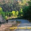 ဓာတ်ပုံ - Taw Oo Karen News