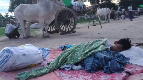 (ယနေ့ နံနက်အစောပိုင်းကစ၍ စစ်ဘေးရှောင်နေရသည့် ယင်းမာပင်မြို့နယ်မှ ဒေသခံများဖြစ်သည်။ ဓာတ်ပုံ - CJ)