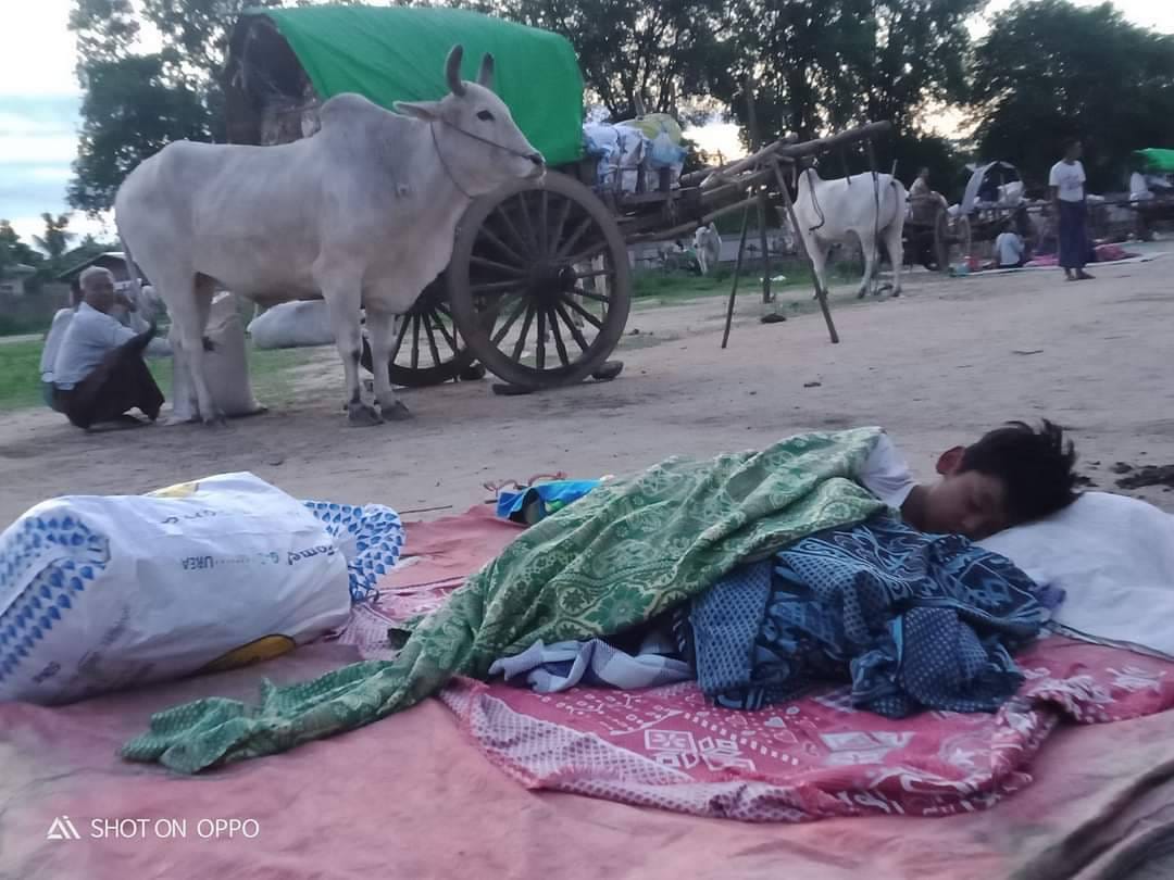 (ယနေ့ နံနက်အစောပိုင်းကစ၍ စစ်ဘေးရှောင်နေရသည့် ယင်းမာပင်မြို့နယ်မှ ဒေသခံများဖြစ်သည်။ ဓာတ်ပုံ - CJ)