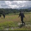 စွန်ရဲစစ်ဆင်​ရေး