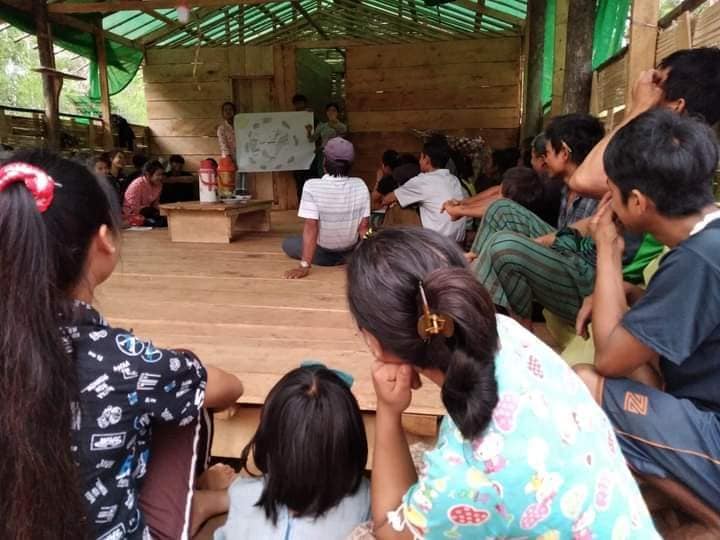 နွေဦးဂုရုလေးများ