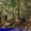 ဓာတ်ပုံ - KNU