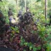 (People’s Defence Force-Combat Engineer Unit စစ်မြေပြင်အင်ဂျင်နီယာတပ် တပ်ဖွဲ့ဝင်များ။ ဓါတ်ပုံ-CEU)