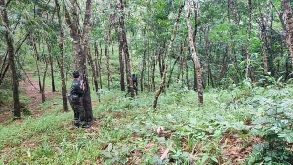 (ပု​​လော PDF တပ်ဖွဲ့ဝင်တစ်ဦး။ ဓါတ်ပုံ-ပု​လောPDF)