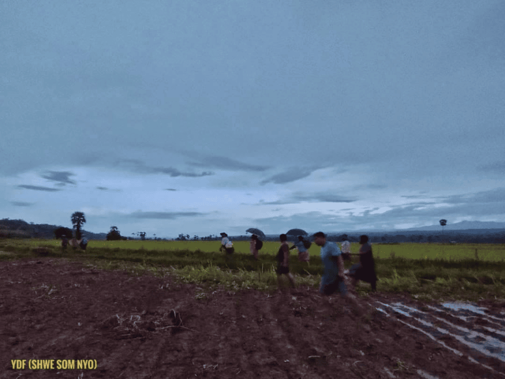 (ယနေ့ နံနက်အစောပိုင်းတွင် စစ်ဘေးရှောင်နေရသည့် ထီးလင်းမြို့နယ်တွင်းမှ ဒေသခံများဖြစ်သည်။ဓာတ်ပုံ - YDF)
