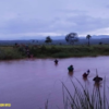 (ယနေ့ နံနက်အစောပိုင်းတွင် စစ်ဘေးရှောင်နေရသည့် ထီးလင်းမြို့နယ်တွင်းမှ ဒေသခံများဖြစ်သည်။ဓာတ်ပုံ - YDF)