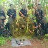 ဓာတ်ပုံ - KNDF