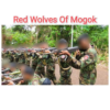 Red Wolves Of Mogok