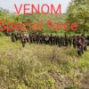 Venom Special Force