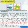 တနင်္သာရီကမ်းရိုးတန်းနဲ့ ရခိုင်၊ မွန်နဲ့ ကရင်ပြည်နယ်တွေကို မိုးသတိပေး