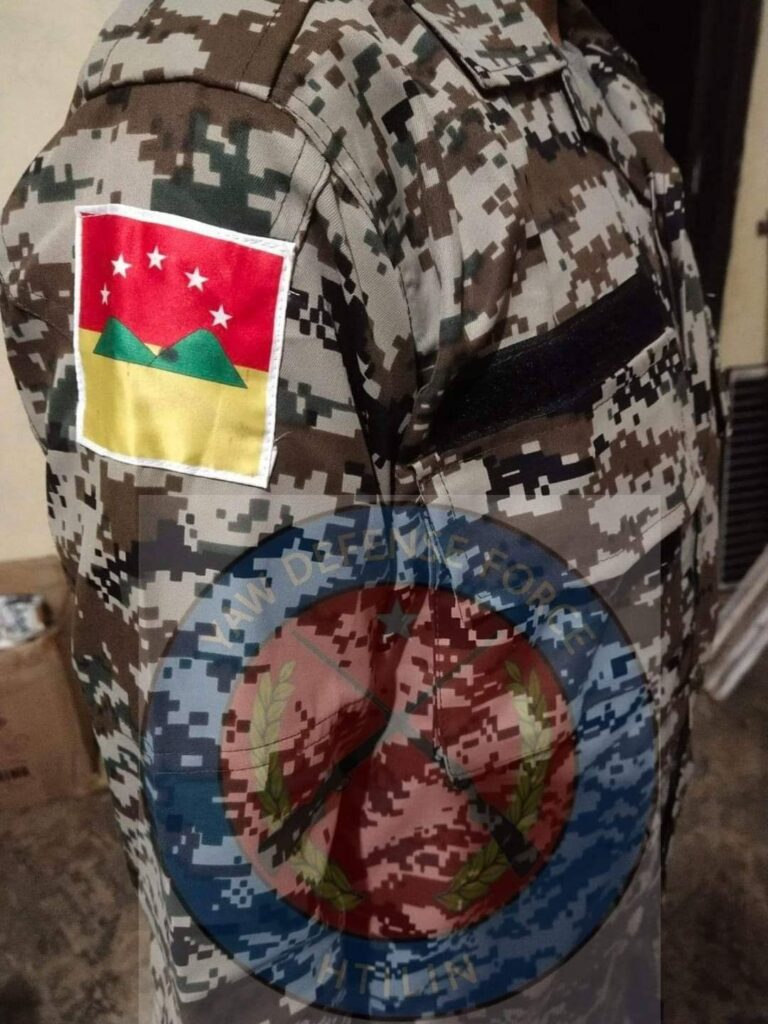 (YDF(ထီးလင်း)၏ ယူနီဖောင်းနှင့်တံဆိပ်အား ပြသထားစဥ်)