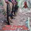 DRM Rangers Mandalay – PDF