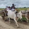 (ထွက်ပြေးတိမ်းရှောင်နေရသော ရွာသူရွာသားများအား တွေ့ရစဥ်။ ဓာတ်ပုံ - ဒီပဲယင်းမြို့နယ်စစ်ရှောင်ထောက်ပံ့ရေး)